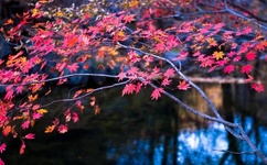 亚瑟AV亚洲精品一区二区